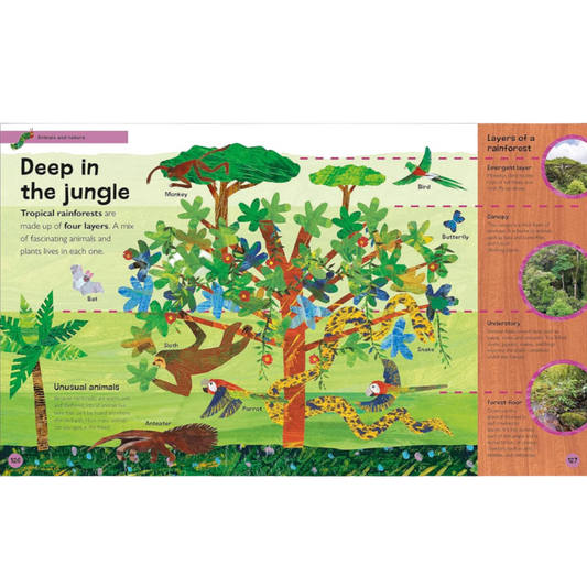 Hungry Caterpillar 1st Animals