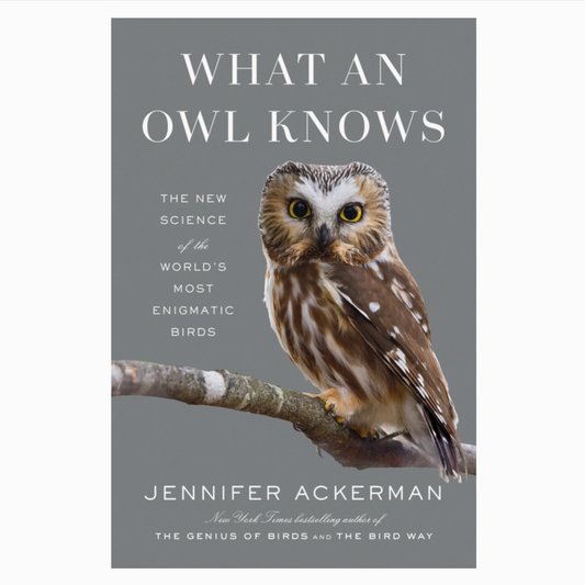 What An Owl Knows