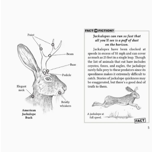 Field Guide To the North American Jackalope Expanded Edition