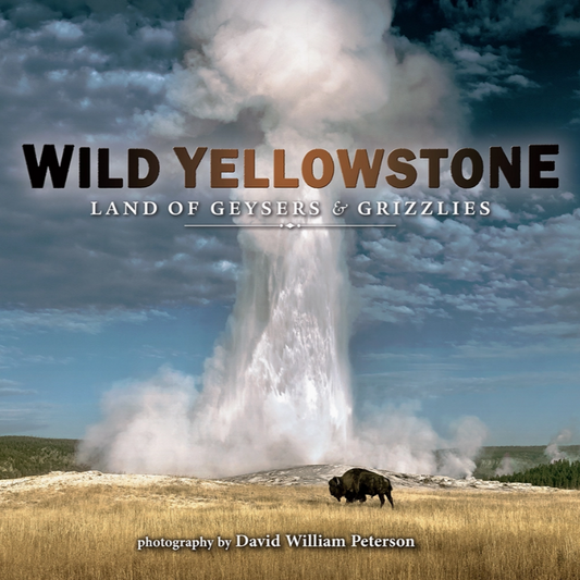 Book Wild Yellowstone: Land of Geysers & Grizzlies