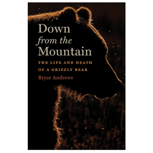 Down From The Mountain: The Life and Death of a Grizzly Bear