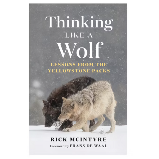 Thinking Like a Wolf - (The Alpha Wolves of Yellowstone)
