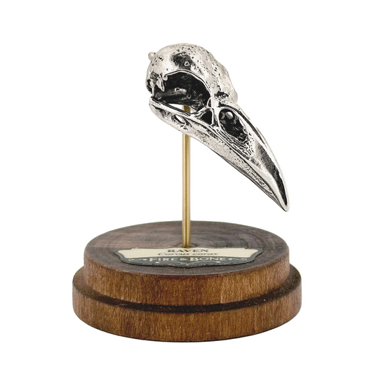 Raven