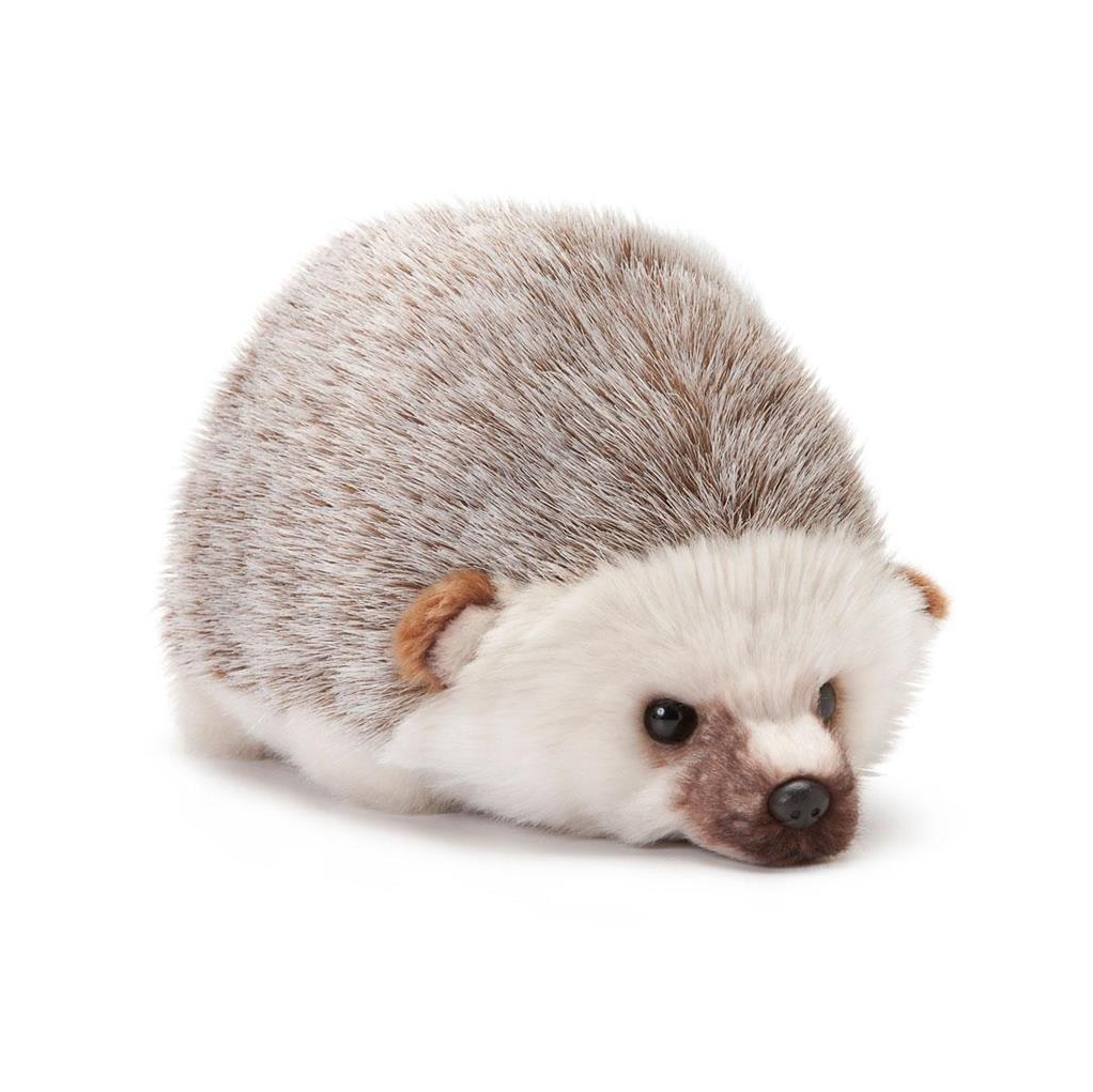 Small Hedgehog