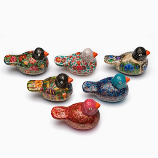 Paradise Parakeet Box - Assorted (Sold Individually)