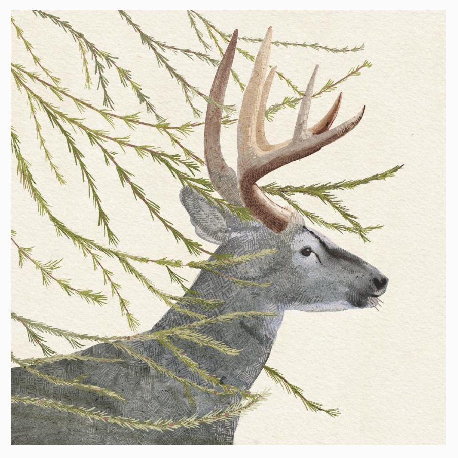 Amadeus - Cocktail Napkin