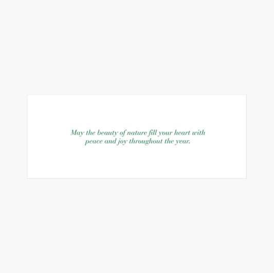 Winter Forest Friends Panoramic Boxed Holiday Cards