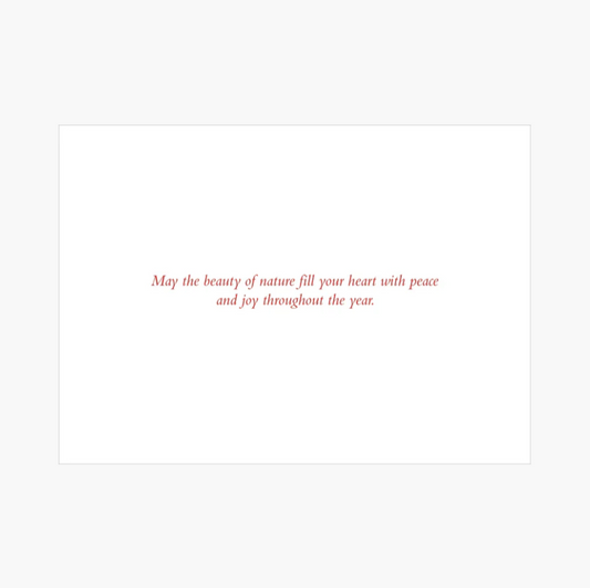 Winter Evergreens Deluxe Boxed Holiday Cards