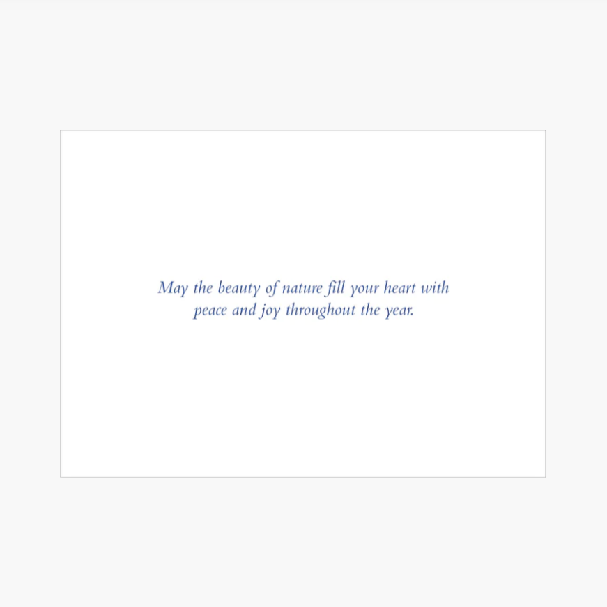 Winter Tapestry Deluxe Boxed Holiday Cards