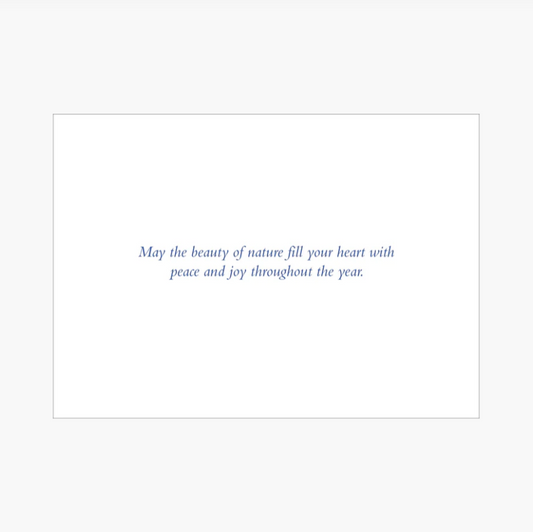 Winter Tapestry Deluxe Boxed Holiday Cards