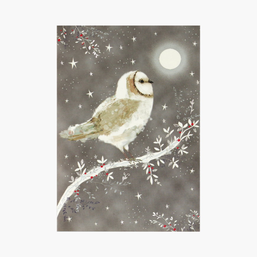 Starry Night Owl Small Boxed Holiday Cards
