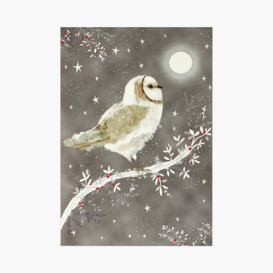 Starry Night Owl Small Boxed Holiday Cards