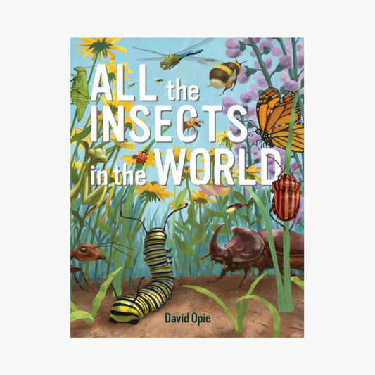 All the Insects in the World