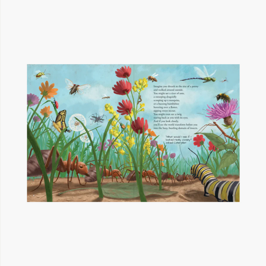 All the Insects in the World