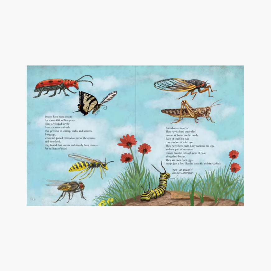 All the Insects in the World