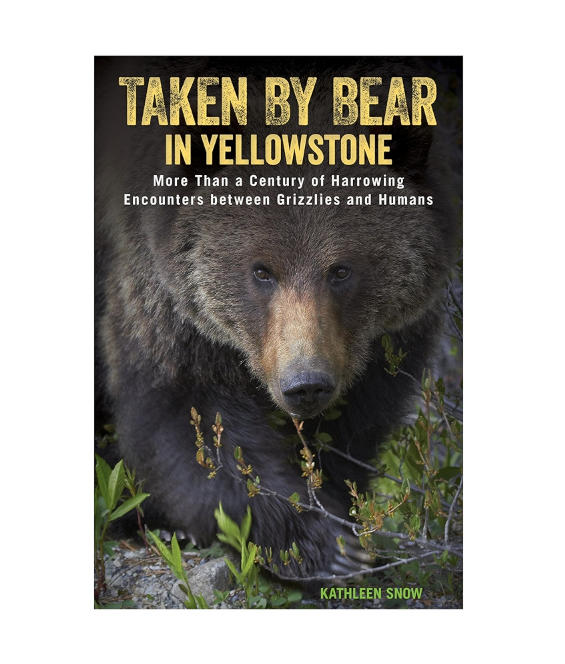 Taken by a Bear in Yellowstone