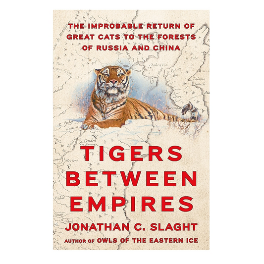 Tigers Between Empires: The Improbable Return of Great Cats to the Forests of Russia and China