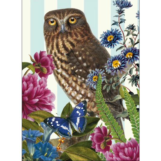 Morepork Owl Blank Card