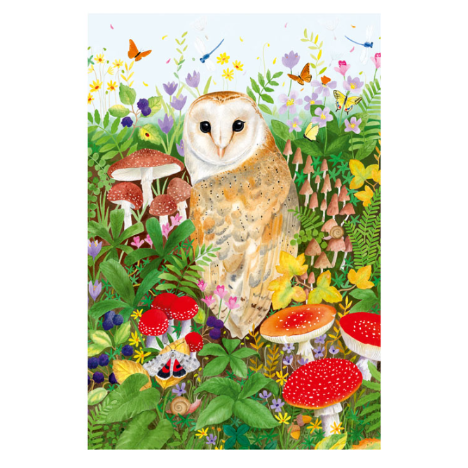 Owl and Mushroom