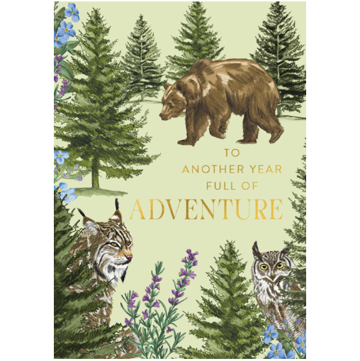 Birthday Bear Greeting Card