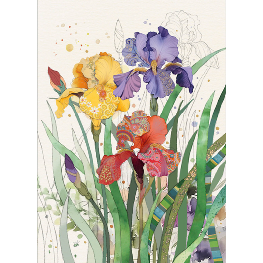 Mixed Irises Blank Card