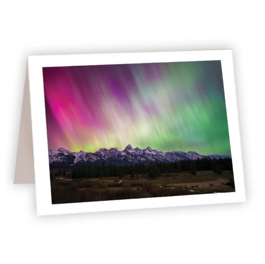 NC Nothern Lights