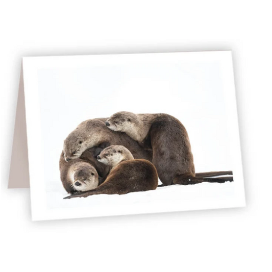 NC Otter Family