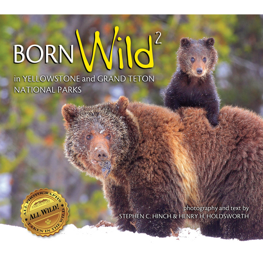 Born Wild in Yellowstone and Grand Teton National Parks: Volume 2