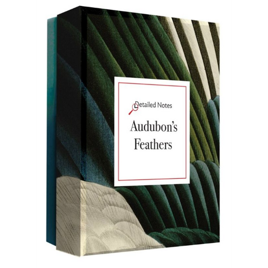 Audubon's Feathers: A Detailed Notes Notecard Box