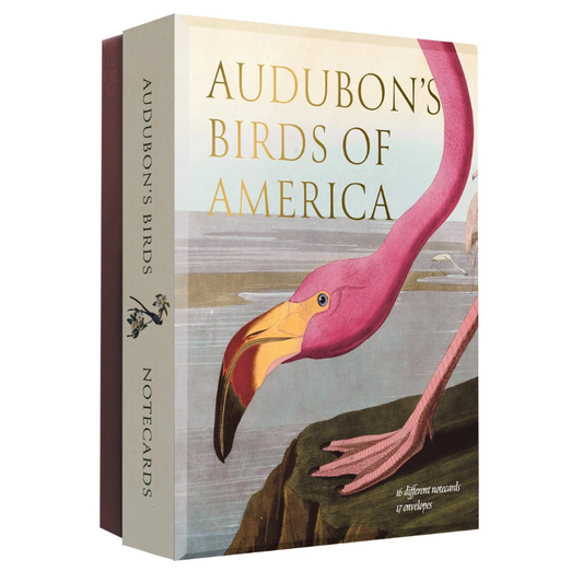 Audubon's Birds of America: An Abbeville Notecard