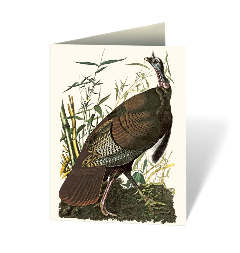 Audubon's Birds of America: An Abbeville Notecard