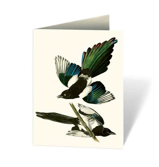 Audubon's Birds of America: An Abbeville Notecard