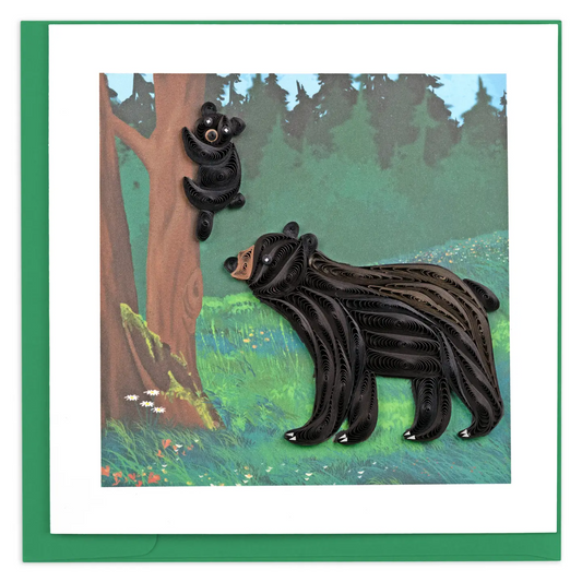 NC Black Bear and Cub
