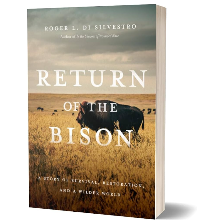 Return of the Bison