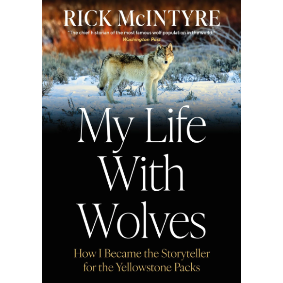 My life with Wolves