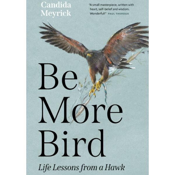 Be More Bird: Life Lessons from a Hawk