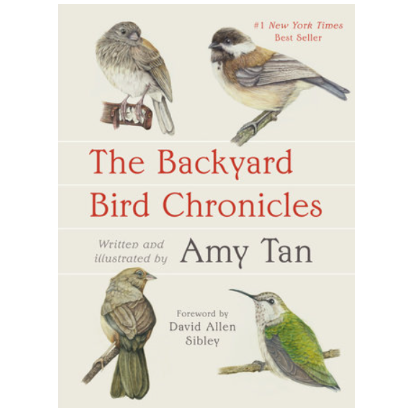 Backyard Bird Chronicles