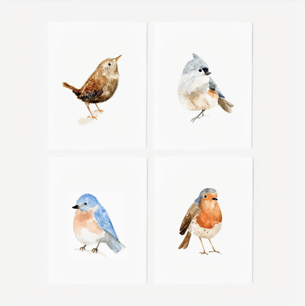 Birds Assorted Notecard Set