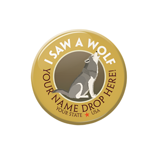 See Saw Badge - I Saw