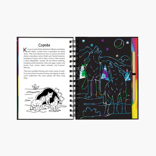 Scratch & Sketch Nocturnal Animals