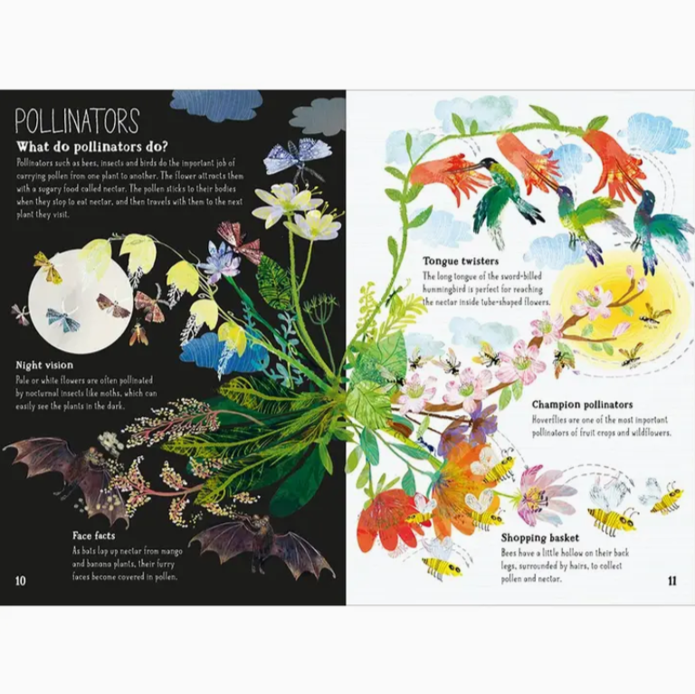 The Big Book of Blooms