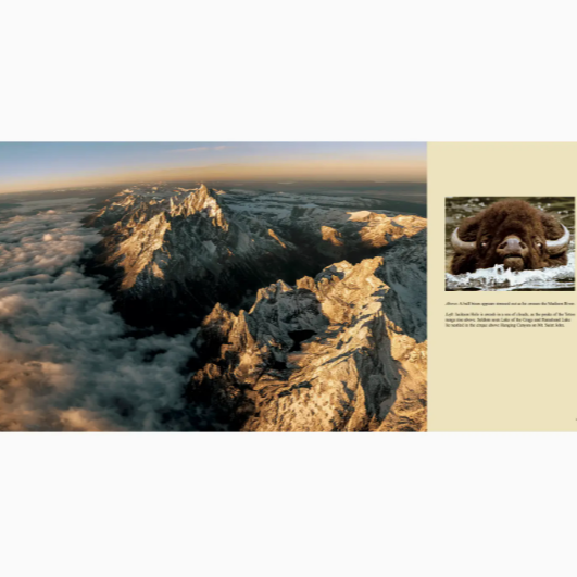Book Wild Yellowstone: Land of Geysers & Grizzlies