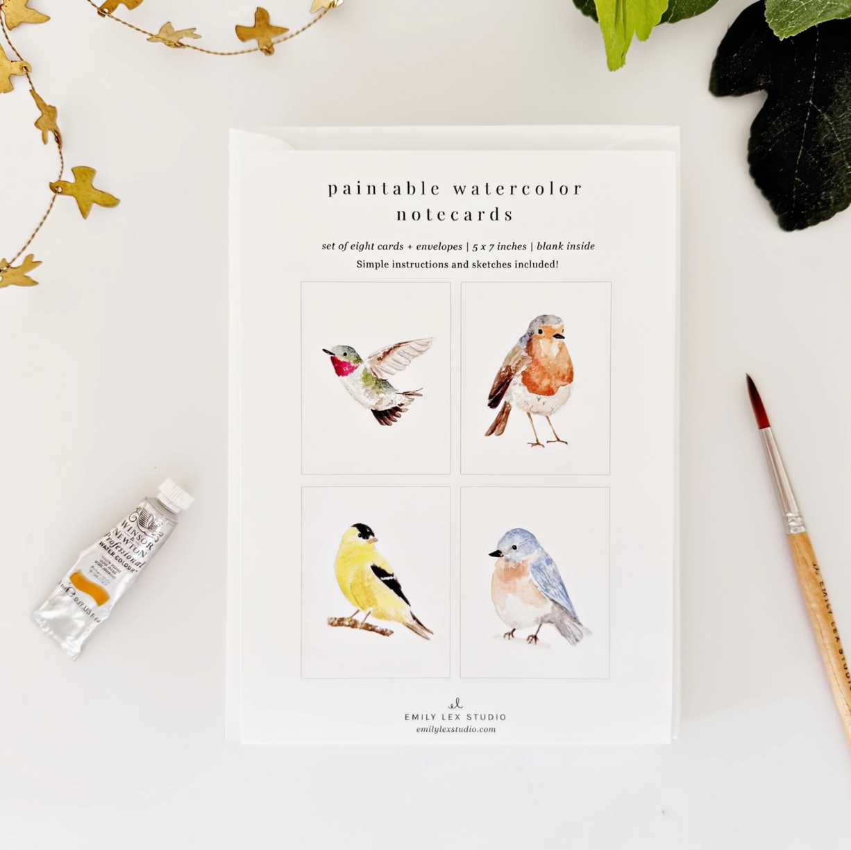 Birds Paintable Watercolor Notecard Set