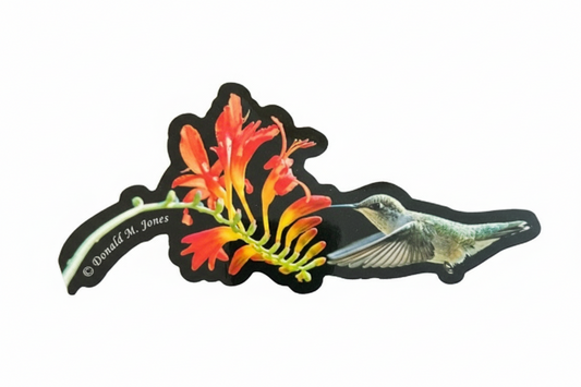 Sniff Sniff Hummingbird Sticker