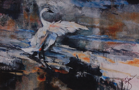 Trumpeter Swan Greeting Card