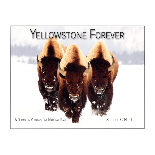 Yellowstone Forever: A Decade in Yellowstone National Park