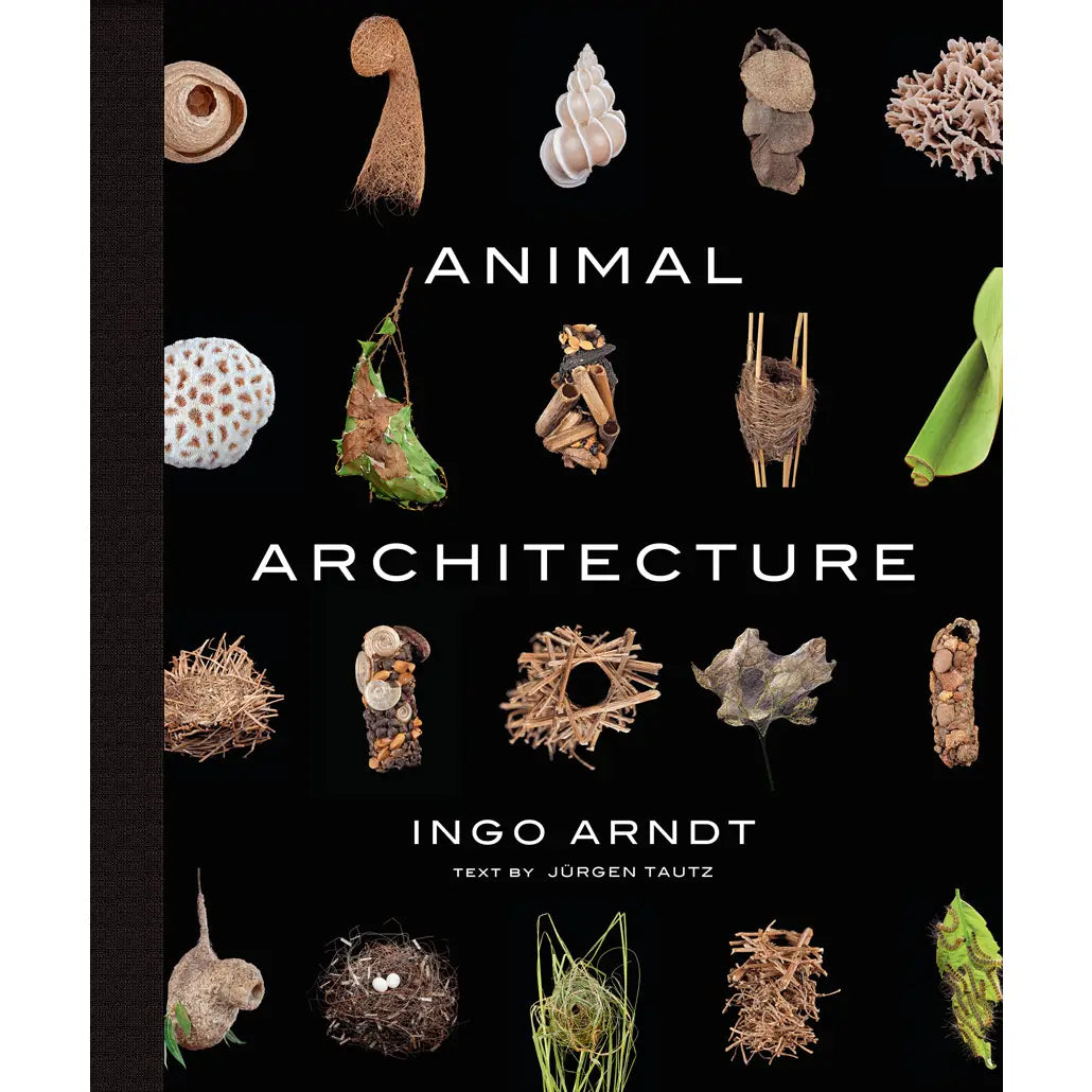 Animal Architecture: Photographs of Natural Habitats