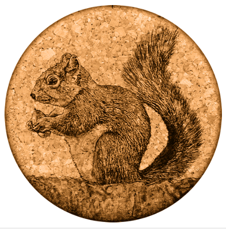 Coaster Squirrel