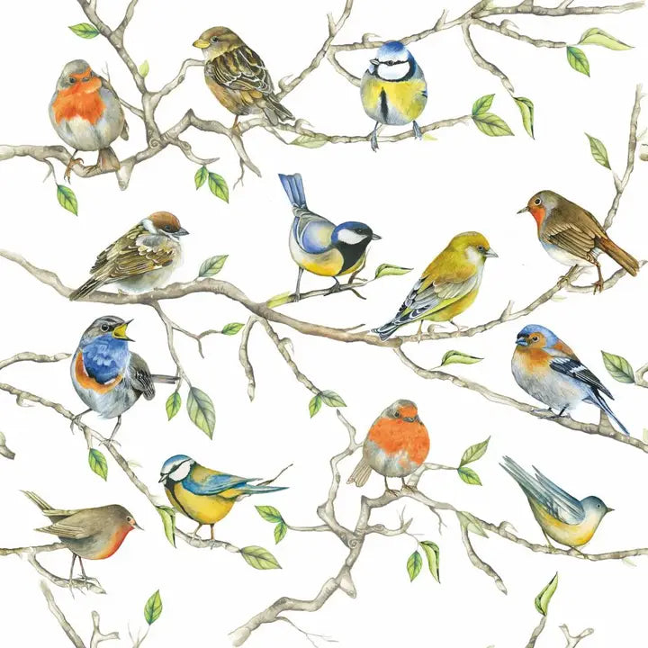 Birds Meeting - Cocktail Napkin