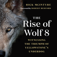 The Rise of Wolf 8: Witnessing the Triumph of Yellowstone's Underdog